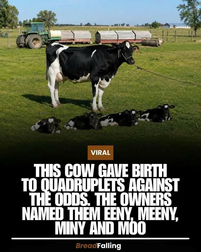 63 Mind-Blowing Facts That Sound Made Up But Aren't