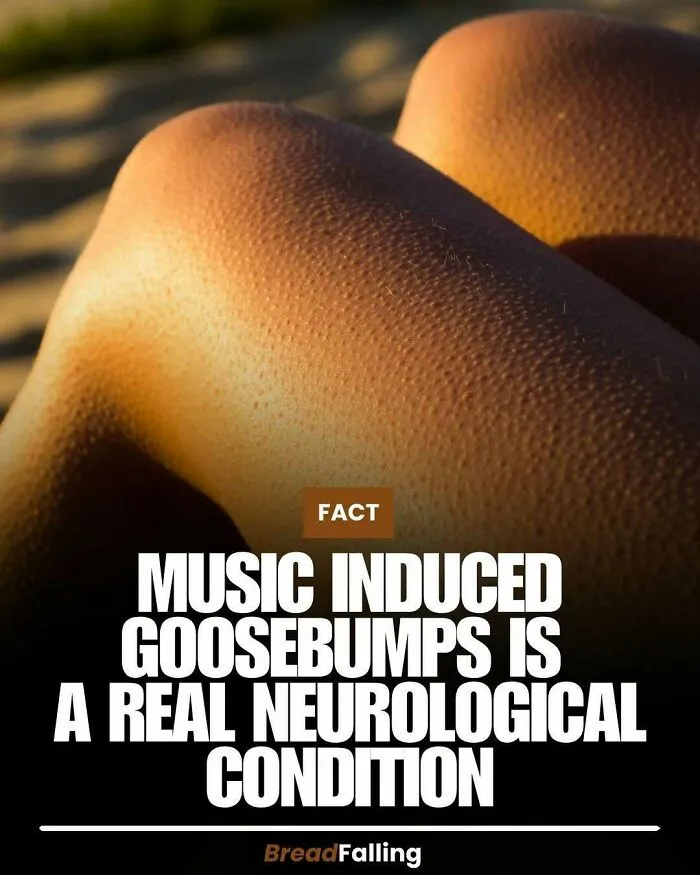63 Mind-Blowing Facts That Sound Made Up But Aren't