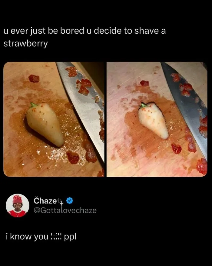 Funny-Interesting-Media-Memes