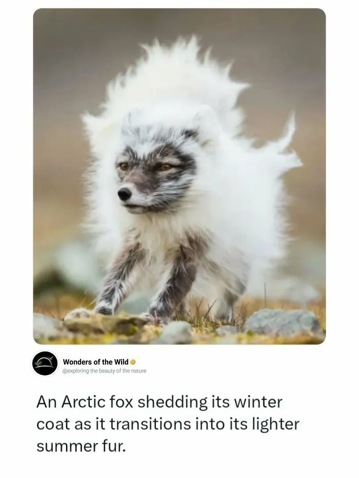 44 Fun And Interesting Facts To Add To Your Animal Knowledge