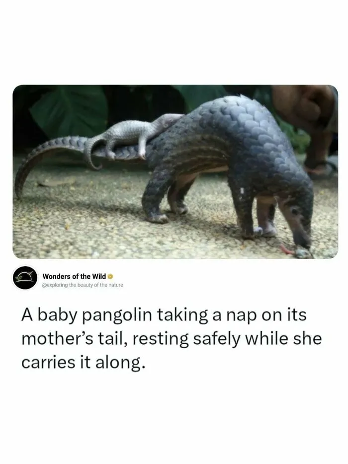 44 Fun And Interesting Facts To Add To Your Animal Knowledge