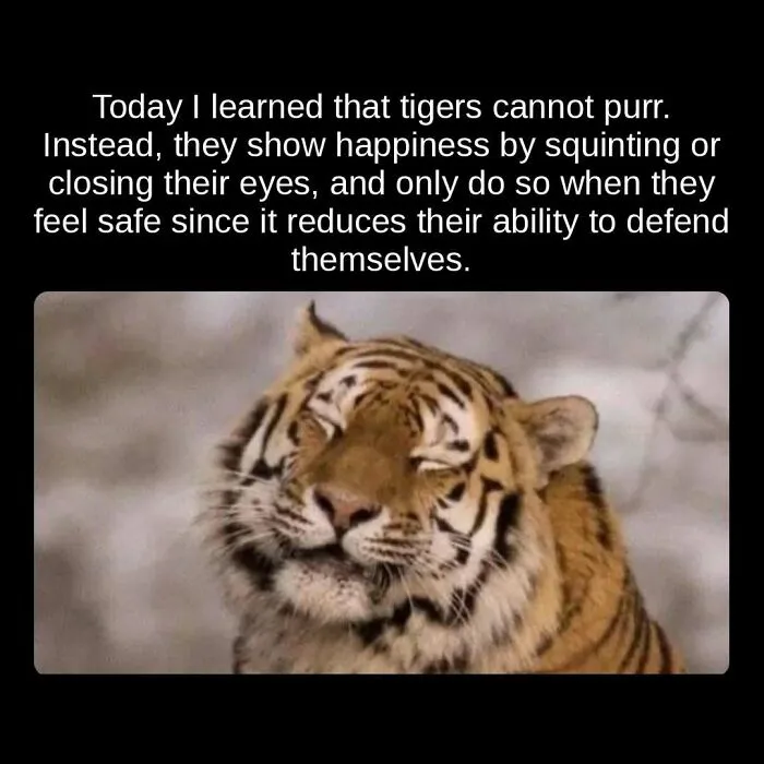 81 “Unseen Facts” Facts That Are Surprisingly Fun To Learn