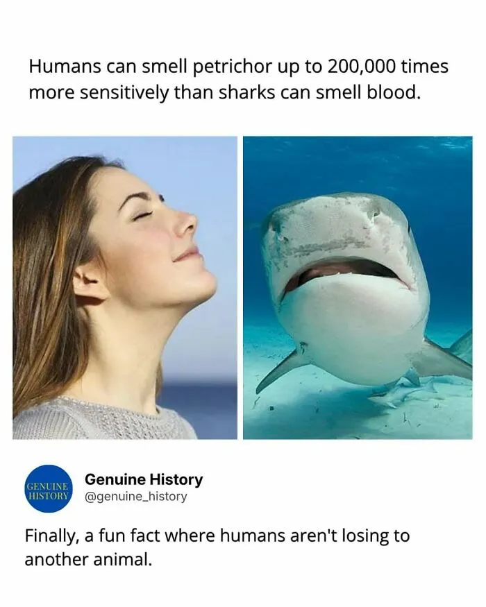 These 79 Fascinating Facts Might Ruin Your Productivity For The Rest Of The Day