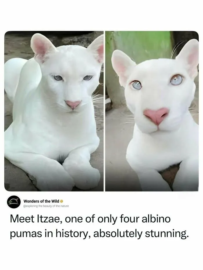44 Fun And Interesting Facts To Add To Your Animal Knowledge