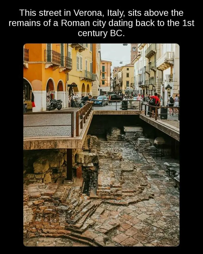 81 “Unseen Facts” Facts That Are Surprisingly Fun To Learn