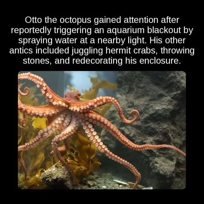 81 “Unseen Facts” Facts That Are Surprisingly Fun To Learn