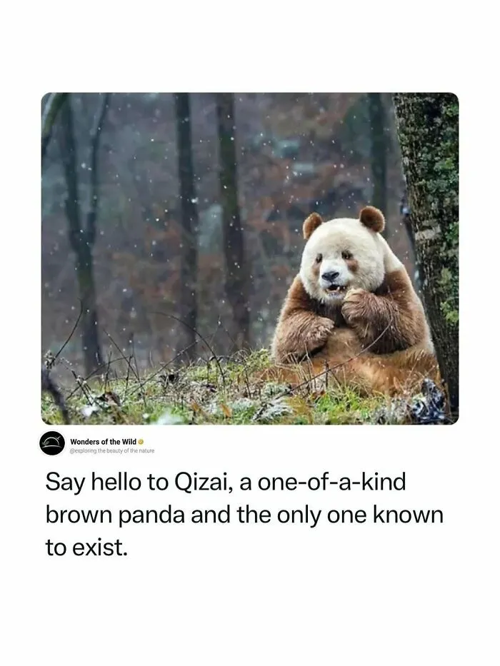 44 Fun And Interesting Facts To Add To Your Animal Knowledge