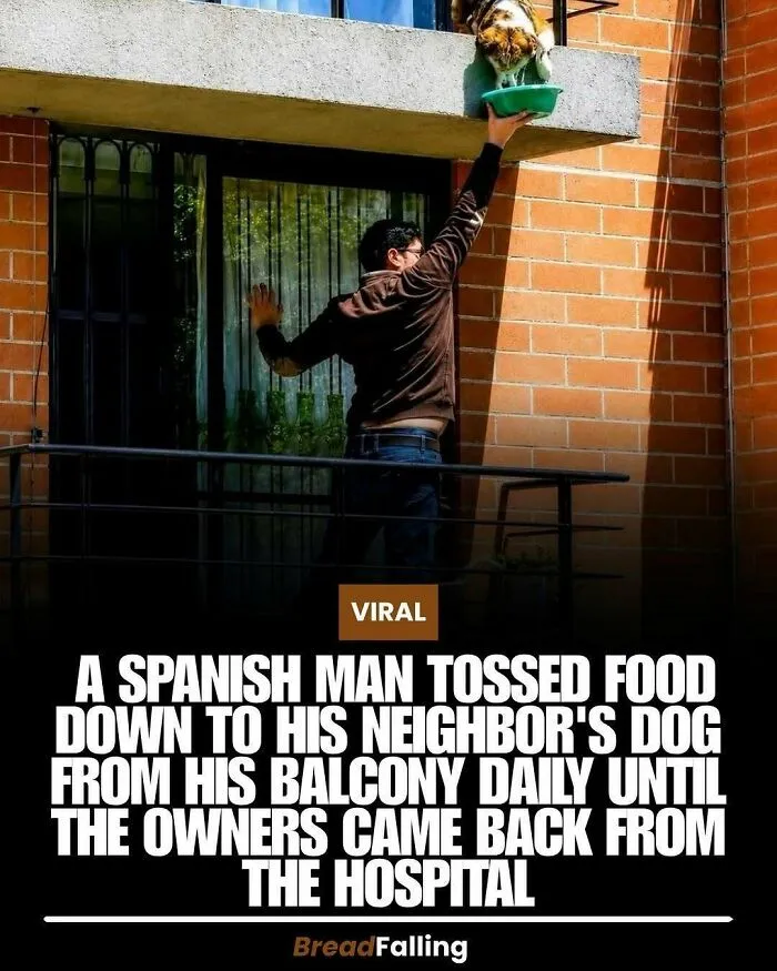 63 Mind-Blowing Facts That Sound Made Up But Aren't