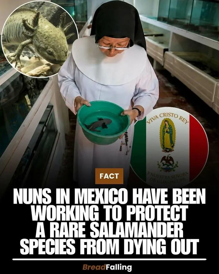 63 Mind-Blowing Facts That Sound Made Up But Aren't