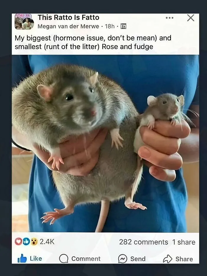36 Dumb Posts People Had To Screenshot And Pass On To Others