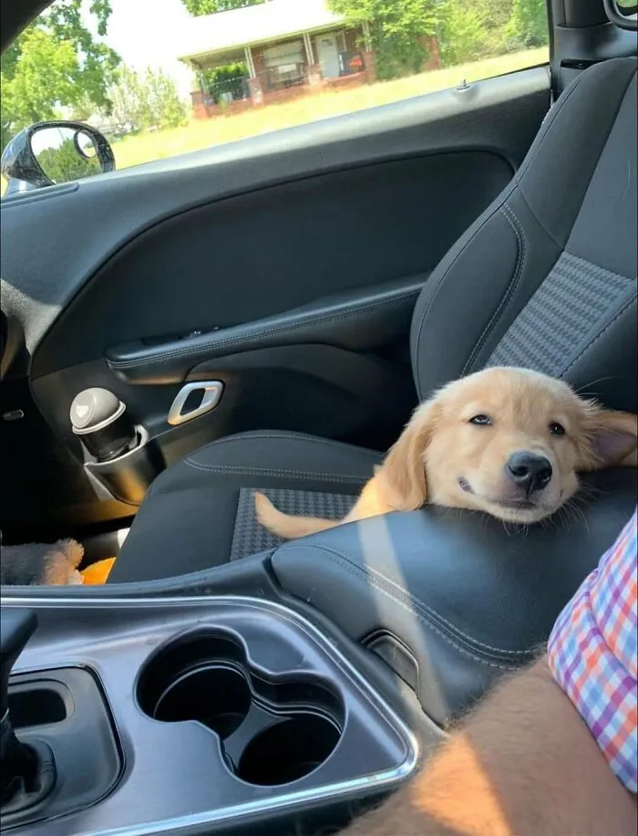 83 Photos Of Silly, Funny And Weird Animals That Might Lift Your Mood