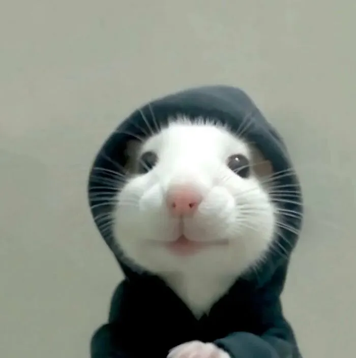 83 Photos Of Silly, Funny And Weird Animals That Might Lift Your Mood