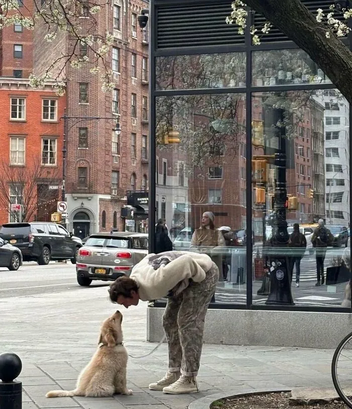 83 Photos Of Silly, Funny And Weird Animals That Might Lift Your Mood