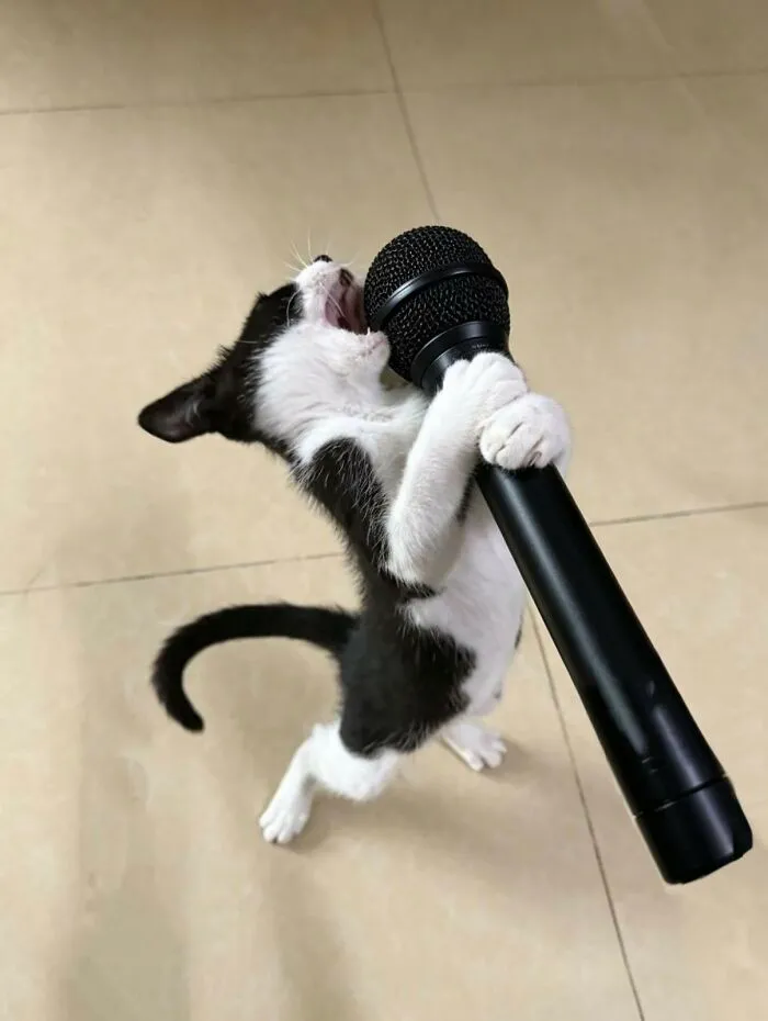 83 Photos Of Silly, Funny And Weird Animals That Might Lift Your Mood