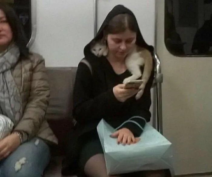 83 Photos Of Silly, Funny And Weird Animals That Might Lift Your Mood