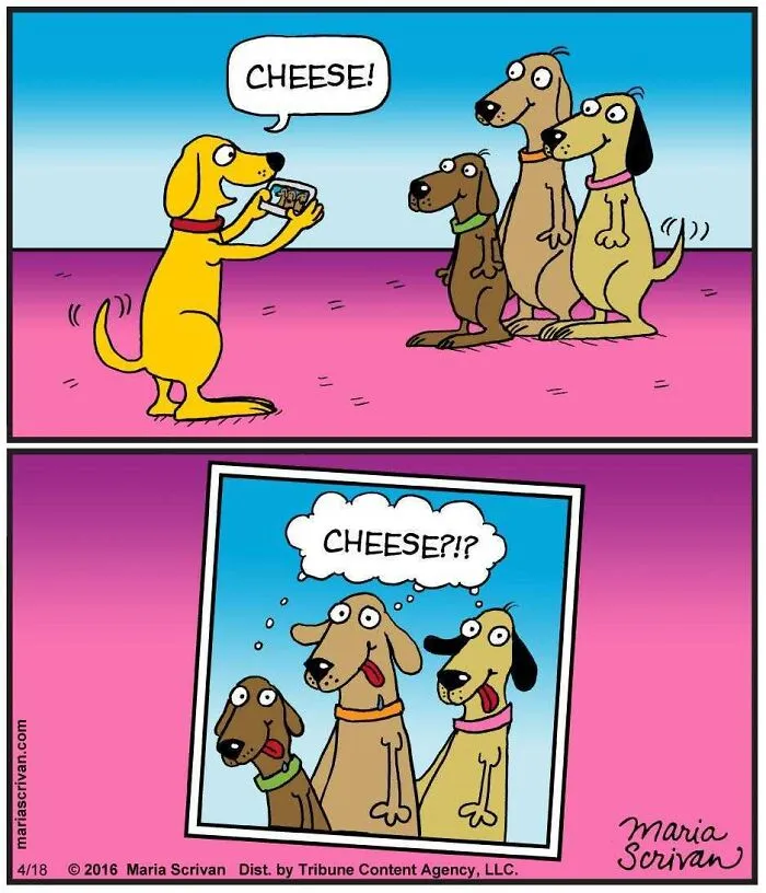 This Cartoonist Turns Everyday Dog Behavior Into Hilarious Comics (42 Pics)