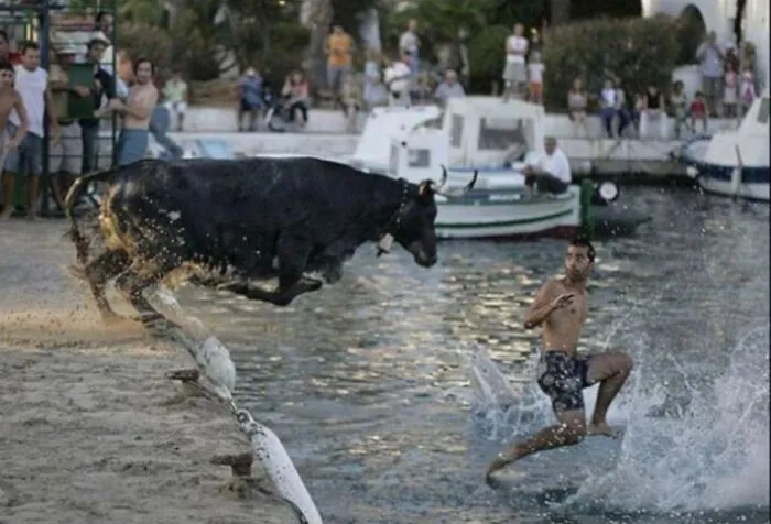 Toro al ataque