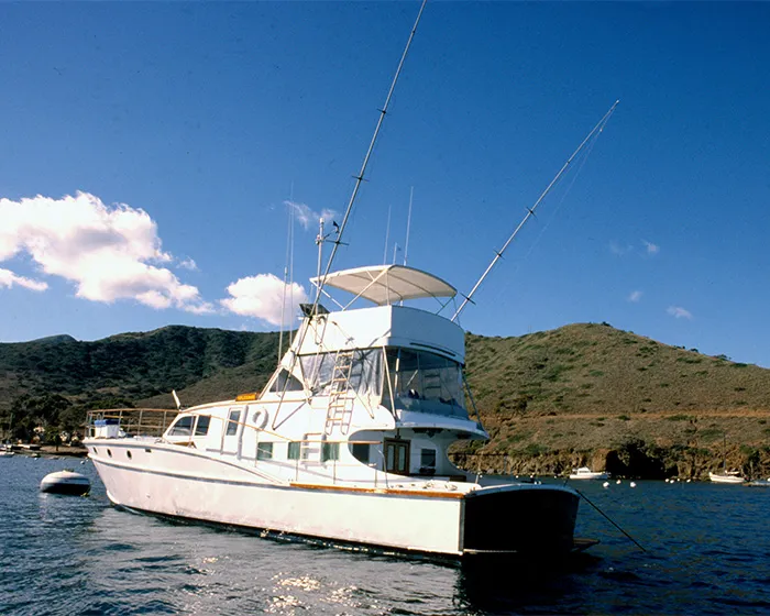 Natalie Wood's Mysterious Yacht Disappearance 