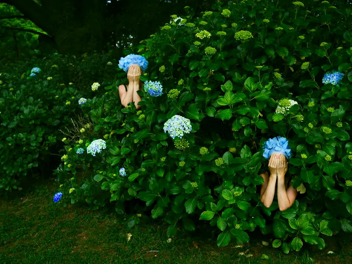 “Endless Summer”