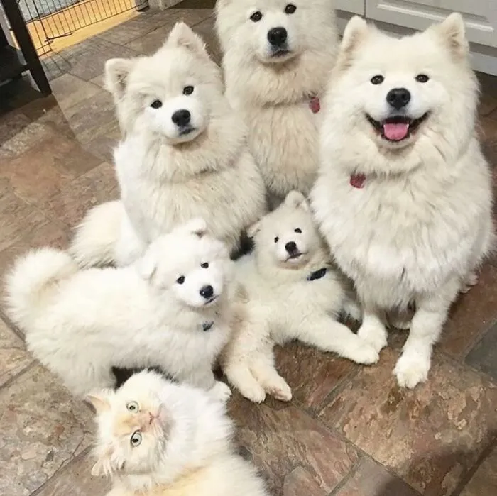 35 Fotos de animales para que tengas una sobredosis de ternura
