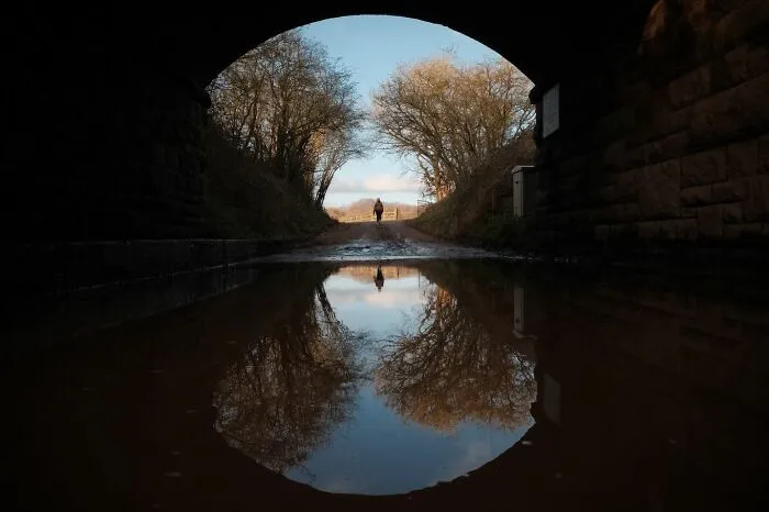 75 Brilliant Street Photos That Prove Perfect Timing Is Everything