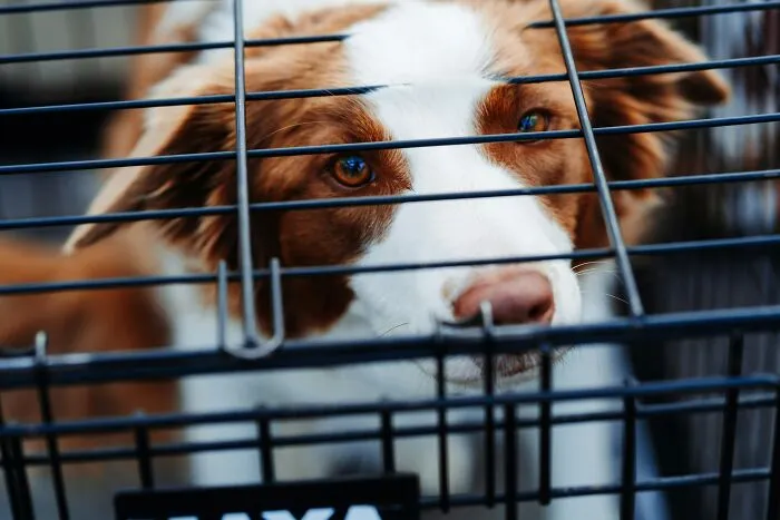67 Things People Witnessed At Someone Else’s House That Made Them Swear To Never Return