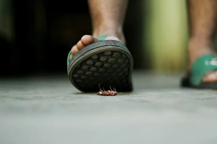 67 Things People Witnessed At Someone Else’s House That Made Them Swear To Never Return