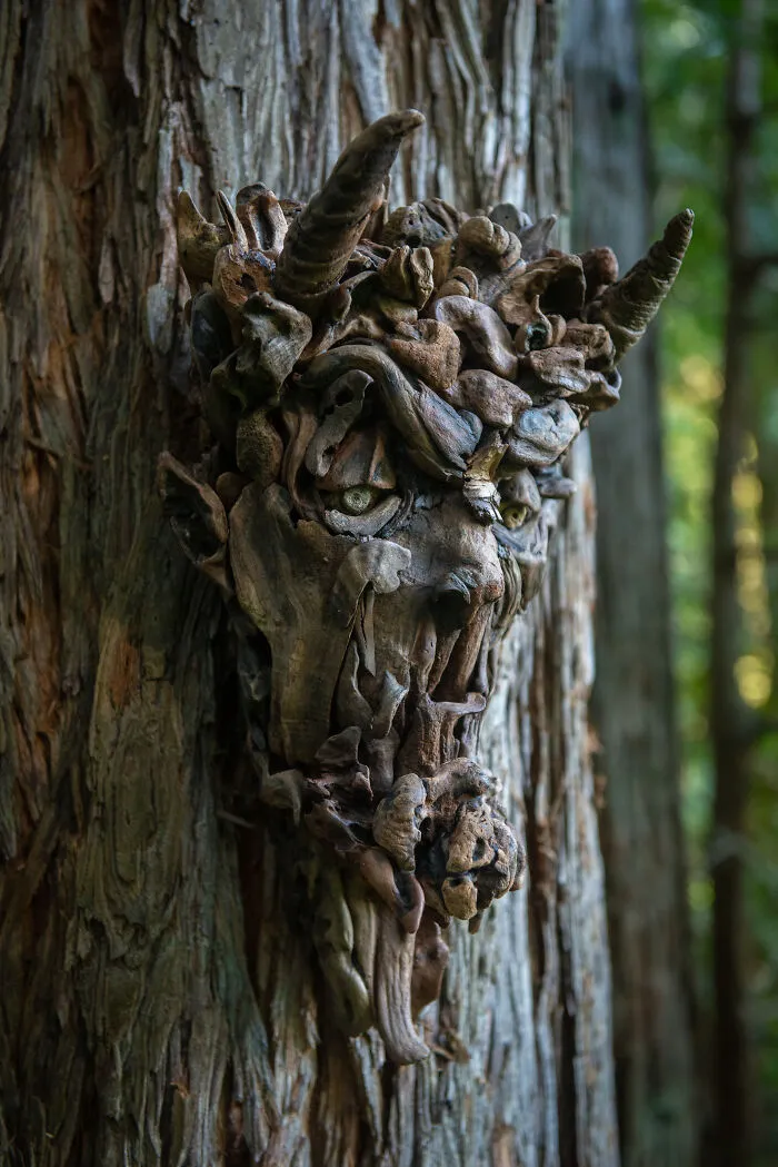 27 Mesmerizing Portrait Sculptures Crafted From Naturally Found Wood By This Artist