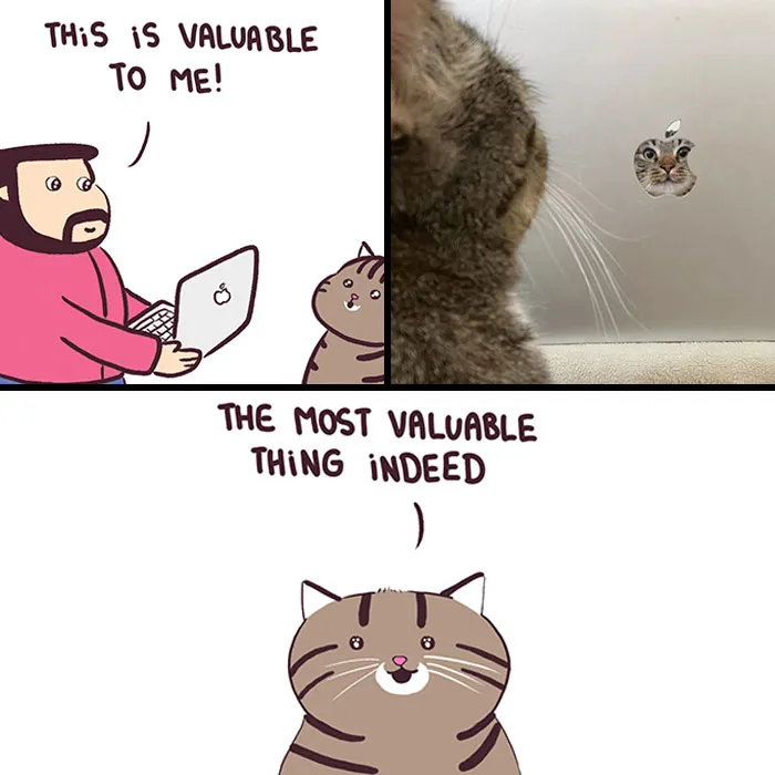 This Artist Turns Viral Animal Photos Into Hilarious Comics, And Here Are The 70 Best Ones