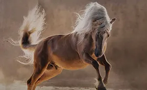 This Page Shared 40 Captivating Horse Photos That Highlight Their Beauty And Strength
