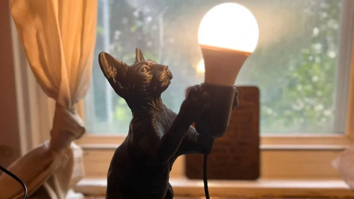 “I’m Pretty Proud Of It”: 82 Creative People Who Used 3D Printers To Make Things They Couldn’t Find Anywhere Else
