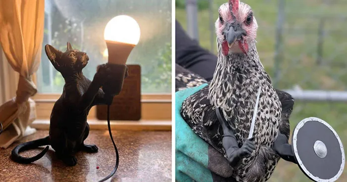 “I’m Pretty Proud Of It”: 82 Creative People Who Used 3D Printers To Make Things They Couldn’t Find Anywhere Else