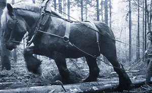 101 Remarkable History Facts And Stories For People Who Love Learning Something New Every Day