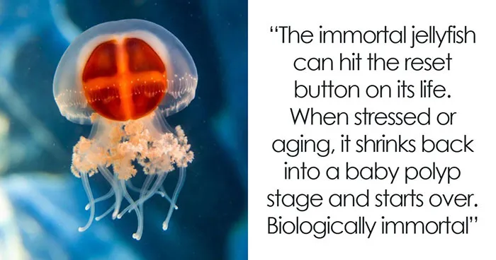 44 Fun And Interesting Facts To Add To Your Animal Knowledge