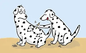 These 33 Silent Animal Comics Might Make You Smile Without A Single Word