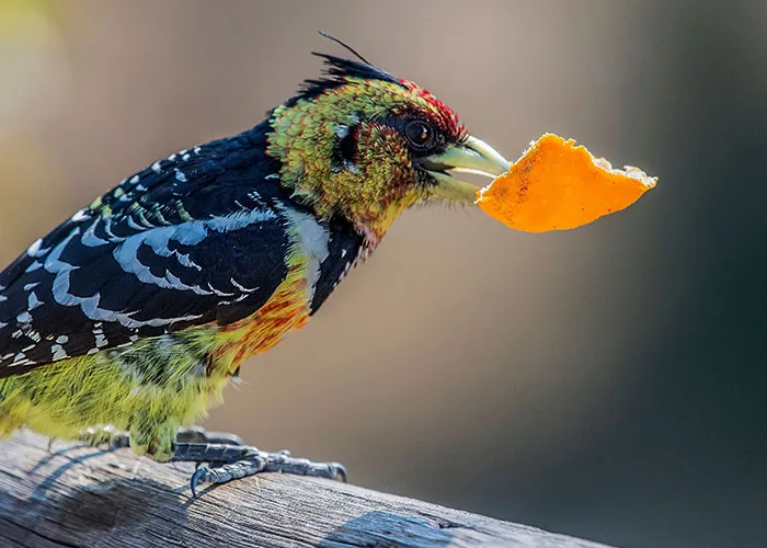 75 Facts That Are Blunt, Useless, And Kind Of Mean