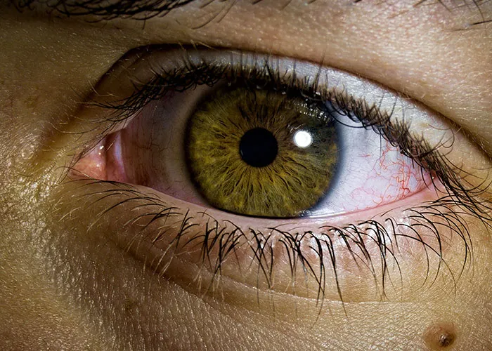 75 Facts That Are Blunt, Useless, And Kind Of Mean