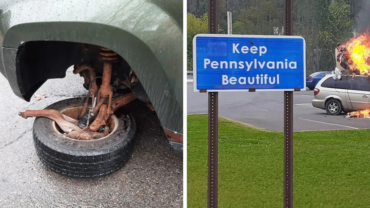 87 Photos Of People Whose Days Went From Perfectly Normal To Complete Chaos In Seconds