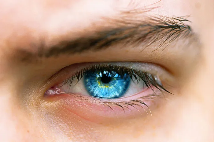Beautiful-Cool-Facts