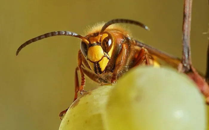 20 Historias sobre el karma golpeando sin piedad a quienes lo merecen