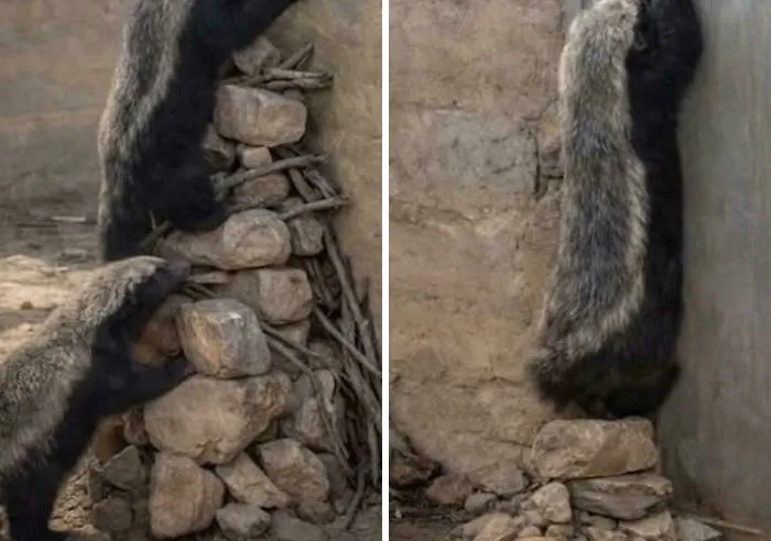 Usaba a su novia como escalón