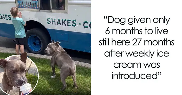 25 Incredible Stories Shared By ‘We Rate Dogs’ That Might Make You Laugh And Cry (New Pics)