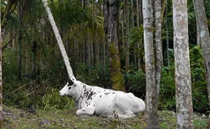 116 Perspective Photos That Reveal How Easily Our Eyes Can Be Fooled (New Pics)