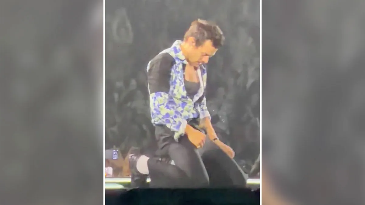 Harry Styles' "Package" Accidentally Exposed On Stage Due To Wardrobe Malfunction