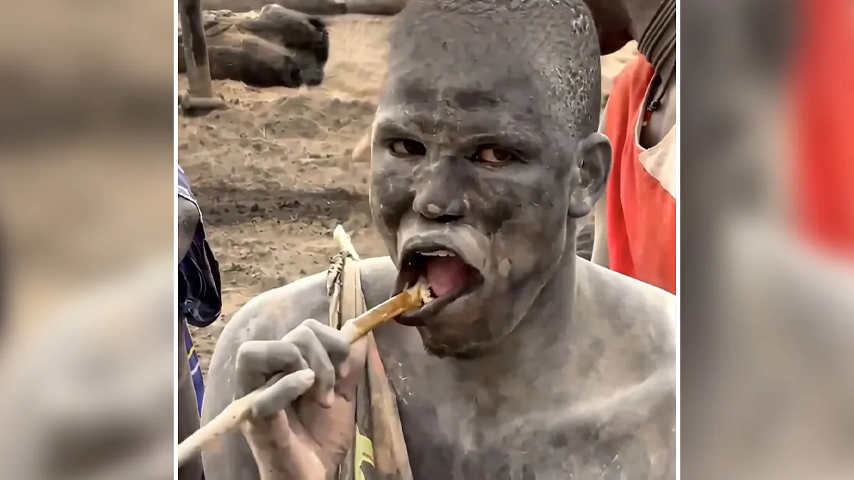 People Are Swapping Toothpaste For African Twig In Search Of A White Smile, Experts Reveal The Truth