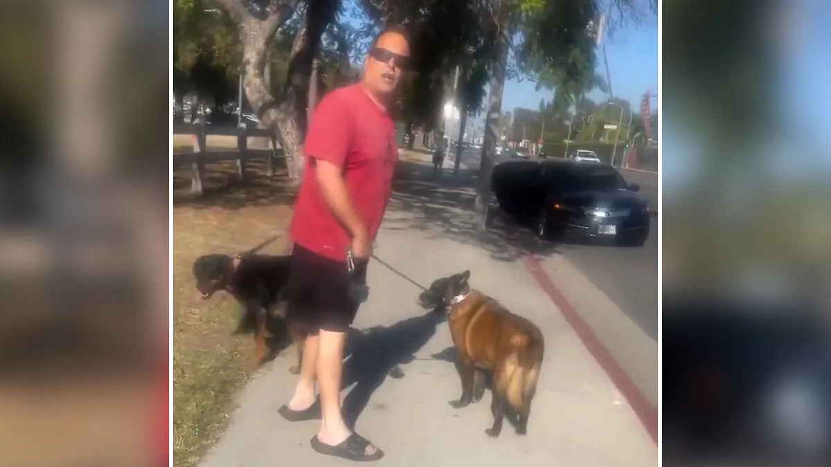 Cyclist Karen Tries To Shame Man Just For Walking His Dogs On The Sidewalk, But It Epically Backfires