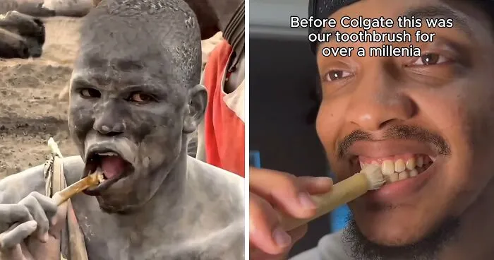 People Are Swapping Toothpaste For African Twig In Search Of A White Smile, Experts Reveal The Truth