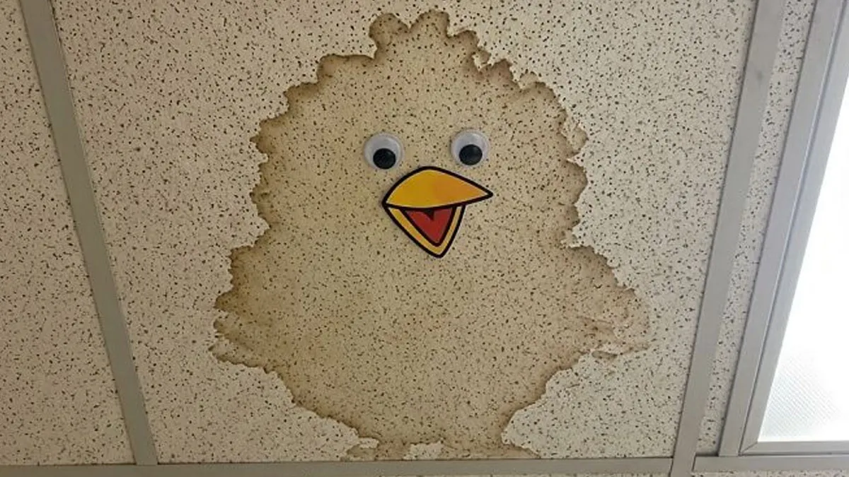 37 Times Creative People Had An Idea And Just Ran With It (New Pics)