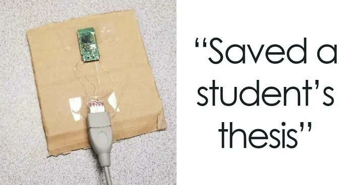 93 Hilarious Examples Of "If It's Stupid But It Works, It Ain't Stupid"
