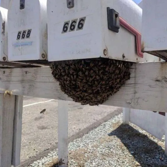 No, It's Your Turn To Get The Mail